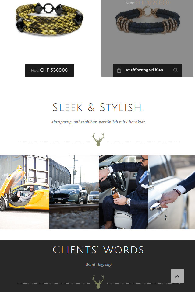 Website luxnatalis.ch